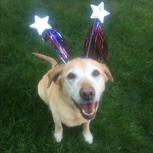 Meet your Posher, Kristin